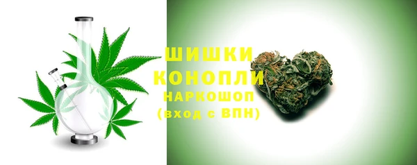 mdpv Богородск