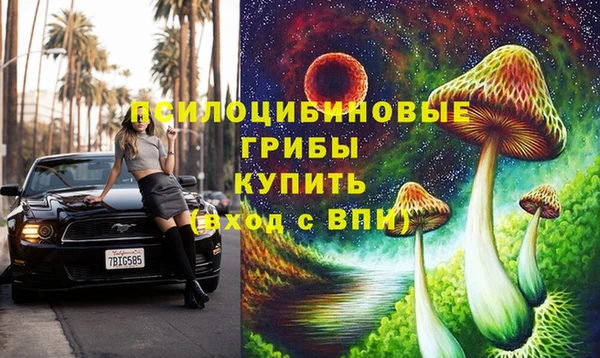 шишки Богданович