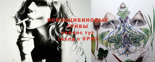 шишки Богданович