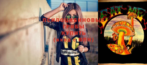 СК Богородицк